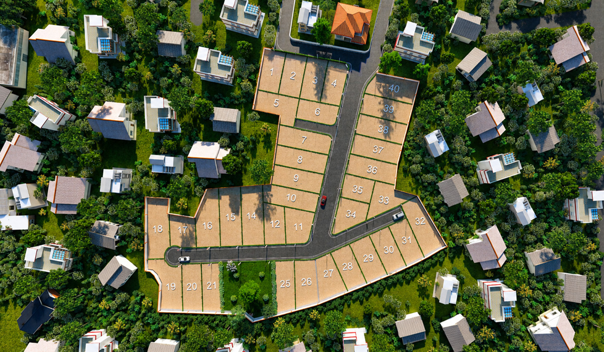 The Signature - Piliyanadala Project Plan